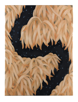 Anna Maria Schönrock