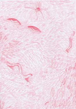 Anna Maria Schönrock