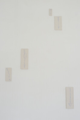 Anna Maria Schönrock