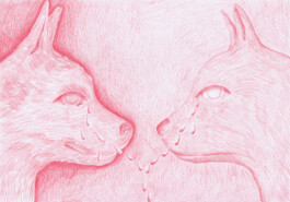 Anna Maria Schönrock