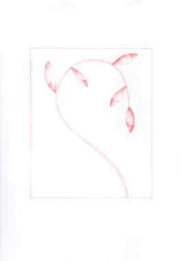 Anna Maria Schönrock