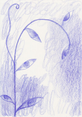 Anna Maria Schönrock