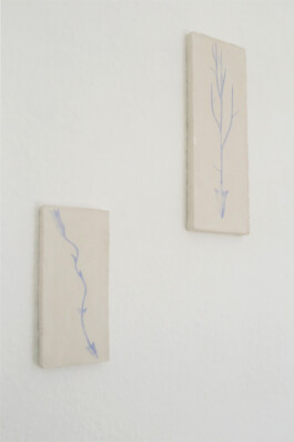 Anna Maria Schönrock