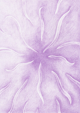 Anna Maria Schönrock