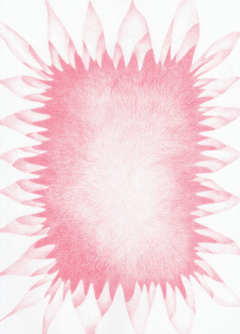 Anna Maria Schönrock