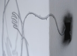 Anna Maria Schönrock