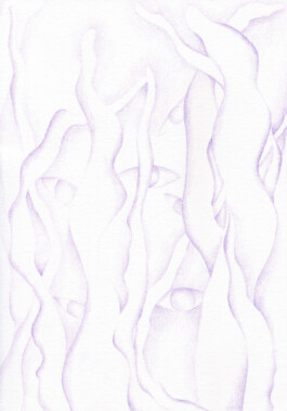 Anna Maria Schönrock