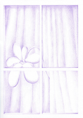 Anna Maria Schönrock