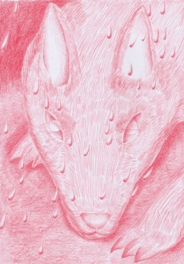 Anna Maria Schönrock