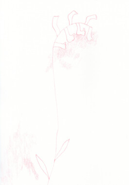 Anna Maria Schönrock