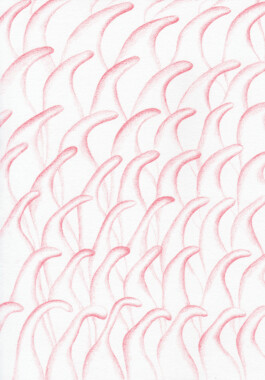 Anna Maria Schönrock