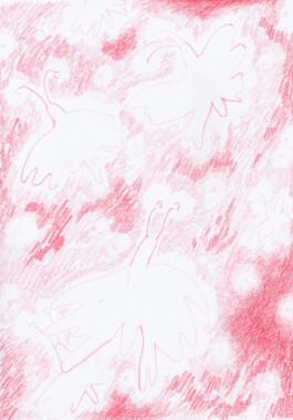 Anna Maria Schönrock