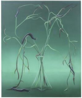 Anna Maria Schönrock