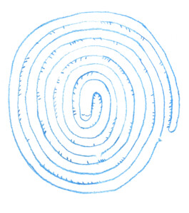 Anna Maria Schönrock