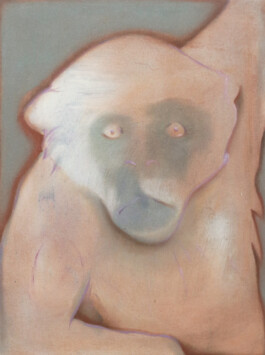 Anna Maria Schönrock