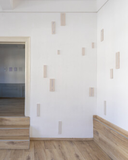 Anna Maria Schönrock