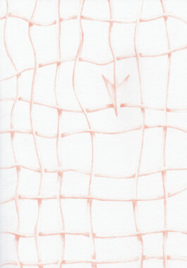 Anna Maria Schönrock