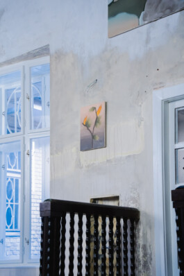 Anna Maria Schönrock